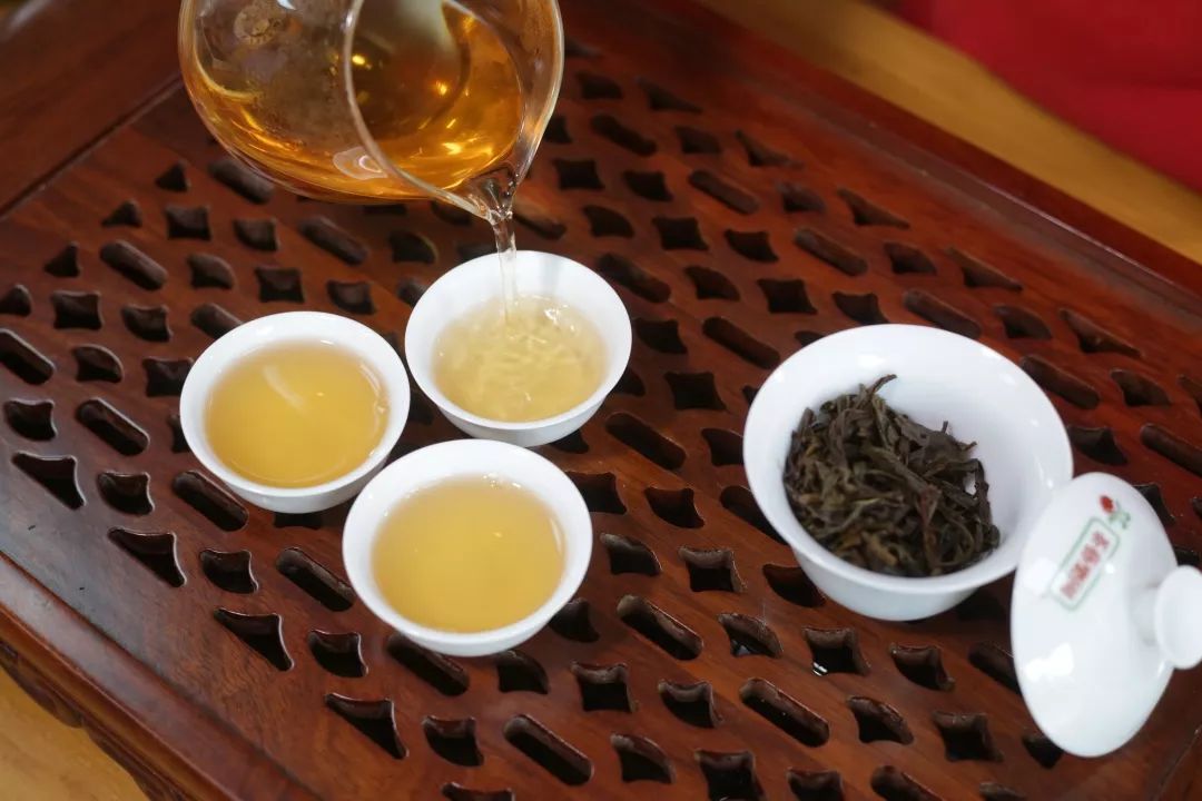 杯傾氣存，衛生潔具 烏崠單叢的品飲之道