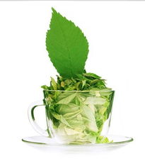 品味臺灣清新 四兩綠茶飲產品與店鋪視覺之美