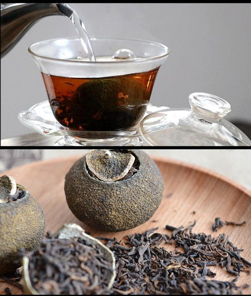 匠心融合，歲月陳香 品鑒新會陳皮與勐海普洱的至臻邂逅