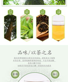 青錢柳茶葉攝影藝術 南陽淘邦以光影雕琢茶品靈魂